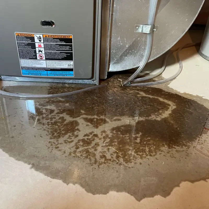 Appliance Leak Cleanup in Coos County, NH